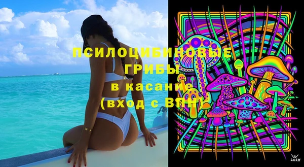а пвп мука Козельск