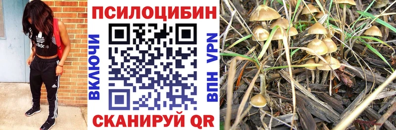Галлюциногенные грибы Psilocybine cubensis  Купить  Балабаново 